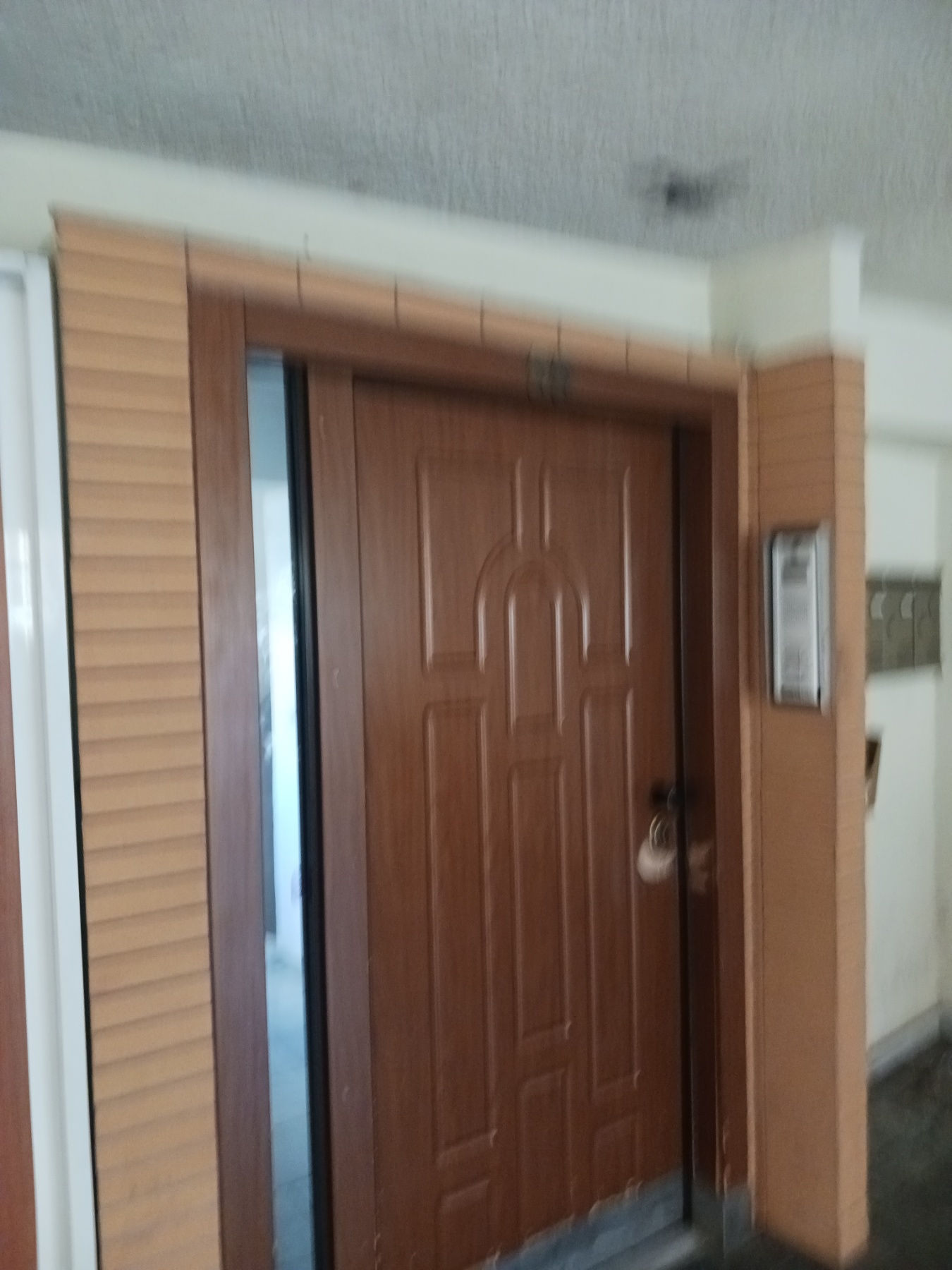 photo2