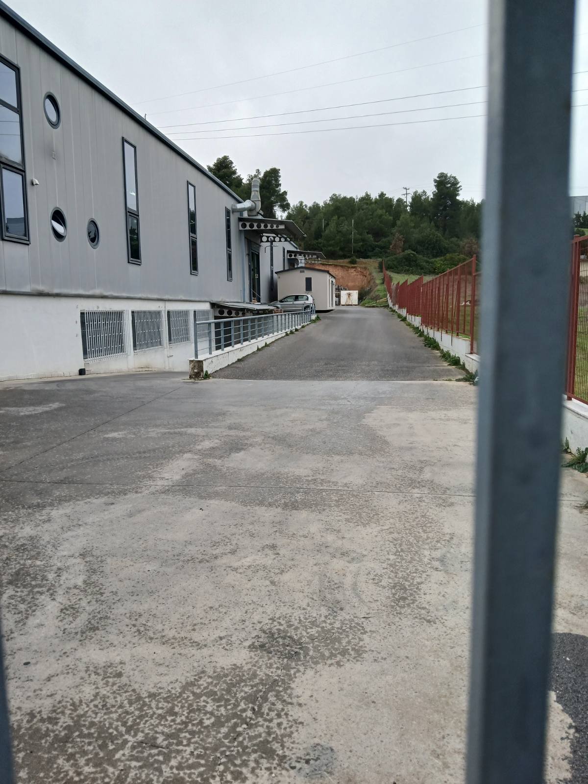photo1