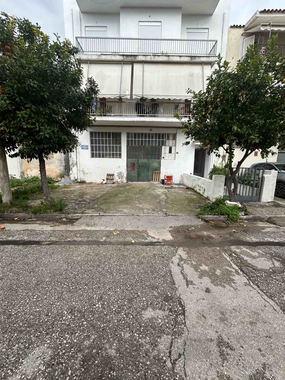 photo1