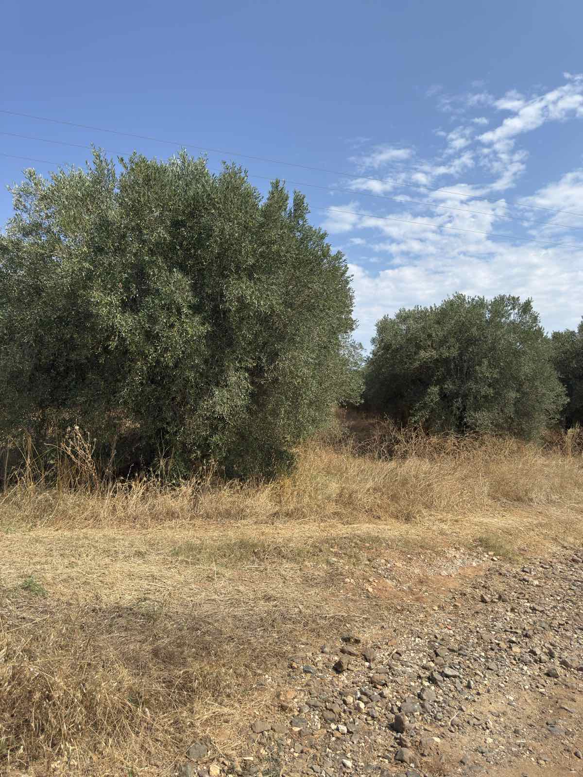 photo1