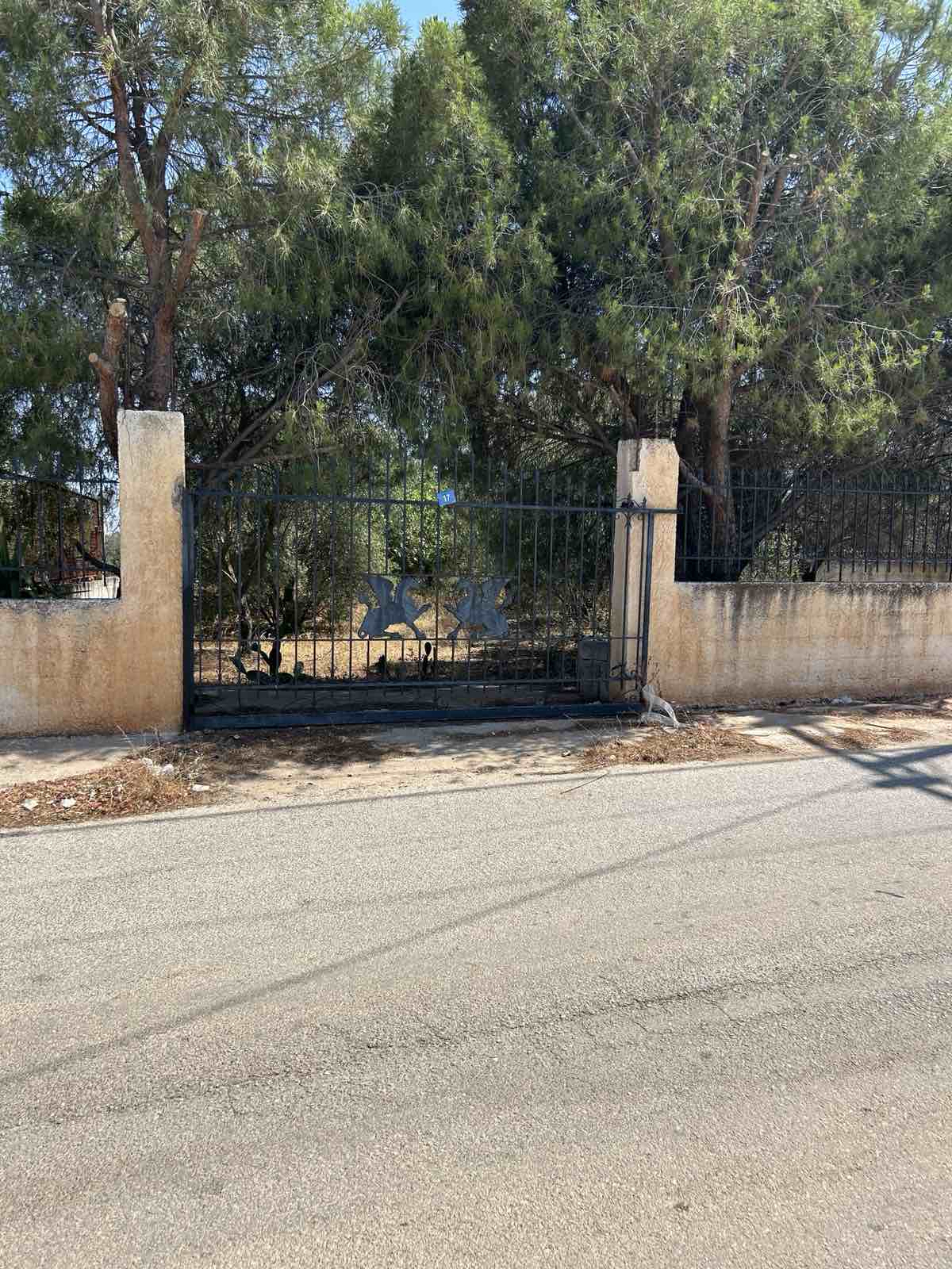 photo6
