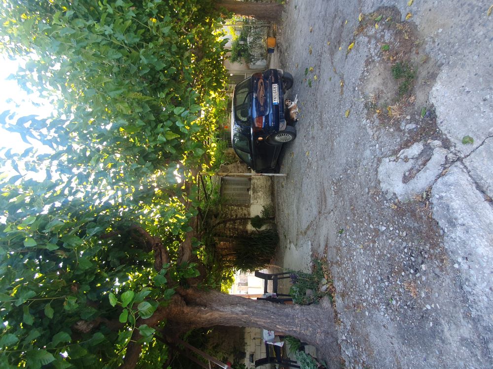 photo1