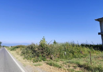 Αγροτεμάχιο  σε πλειστηριασμό Δήμος Αλεξάνδρειας