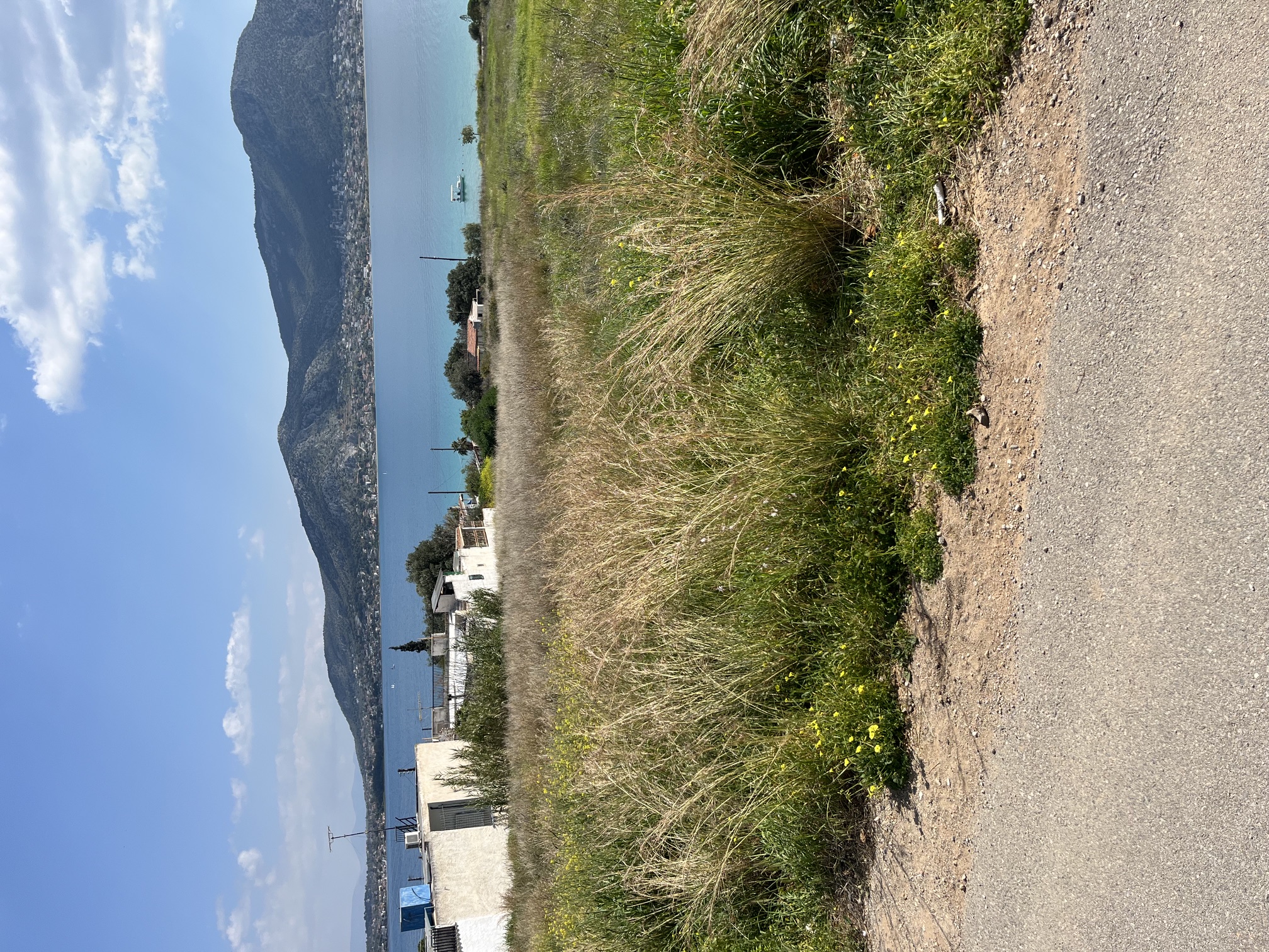 photo0