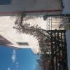 photo1