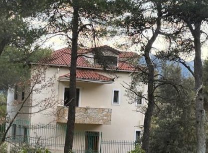 photo1
