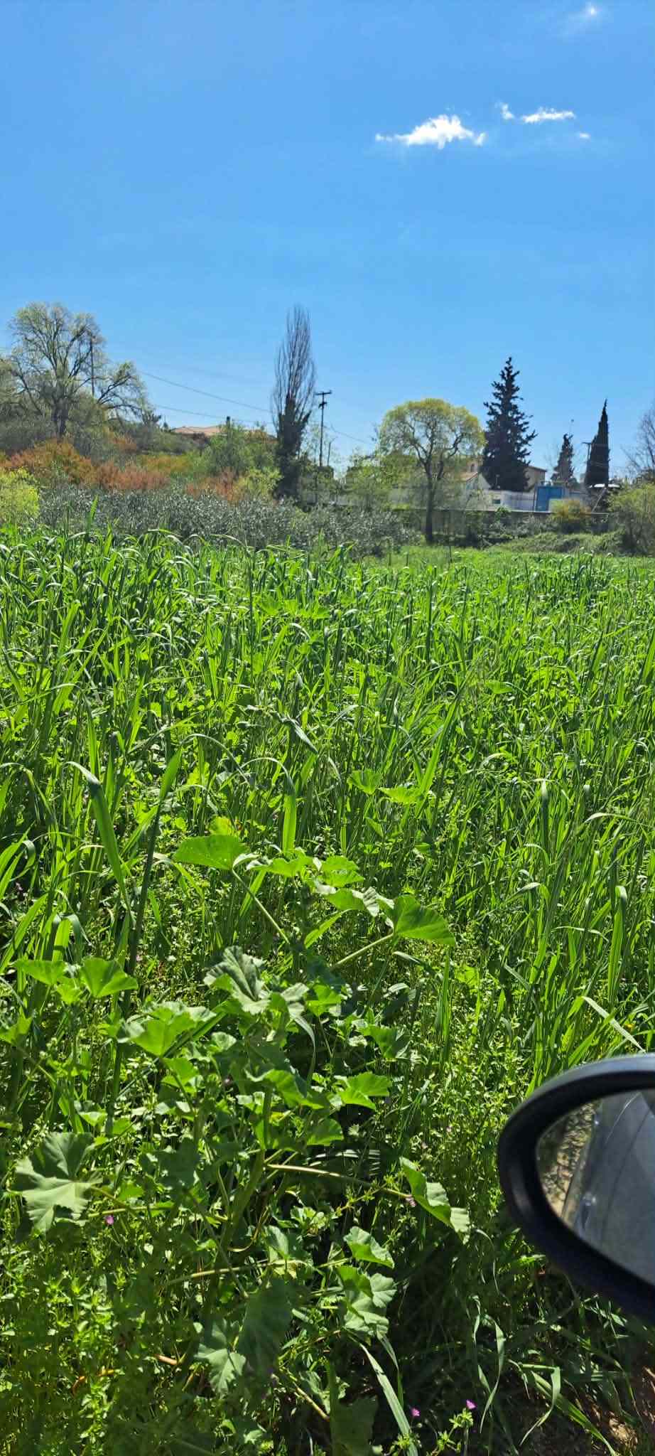 Οικόπεδο  σε πλειστηριασμό Δήμος Βόλου