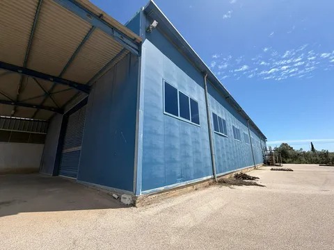 photo1