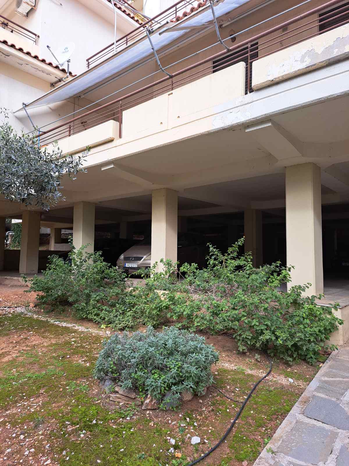 photo6