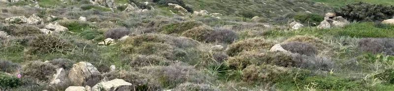 photo1