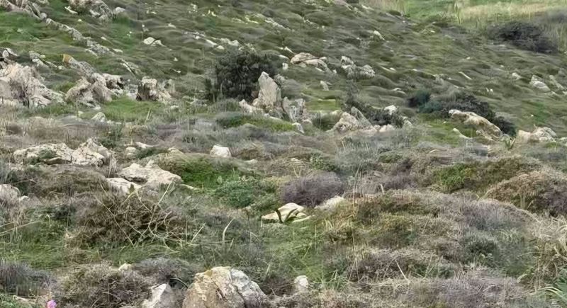 photo2