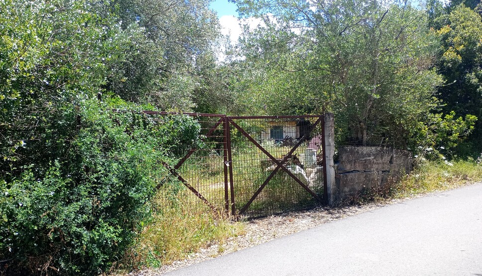 Αγροτεμάχιο  σε πλειστηριασμό Municipality of Corfu