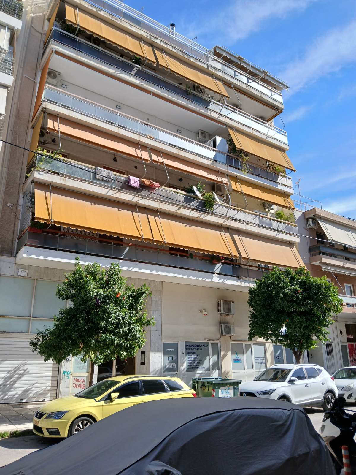 photo1