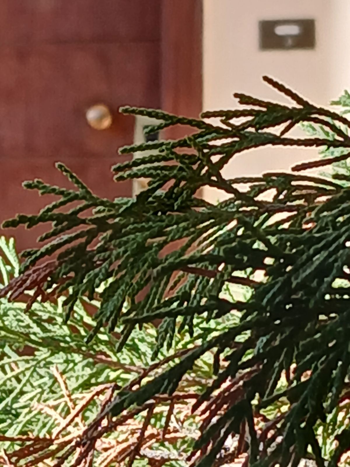 photo3