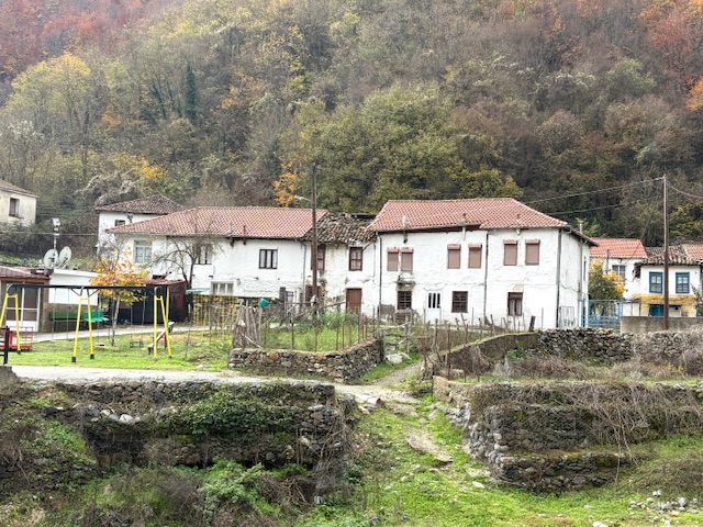 photo2