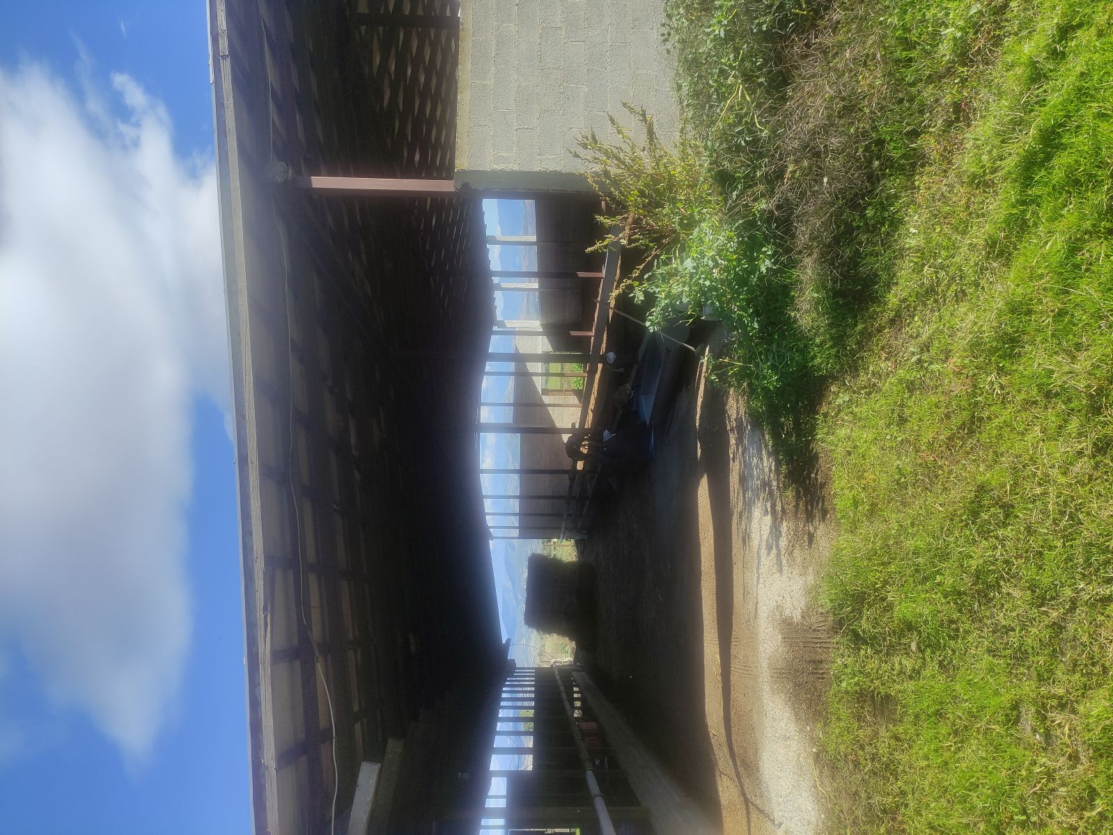 photo1
