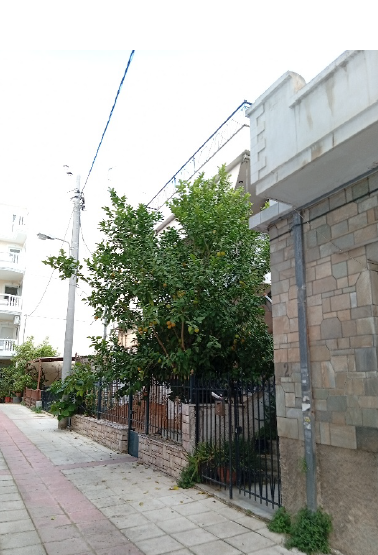 photo0