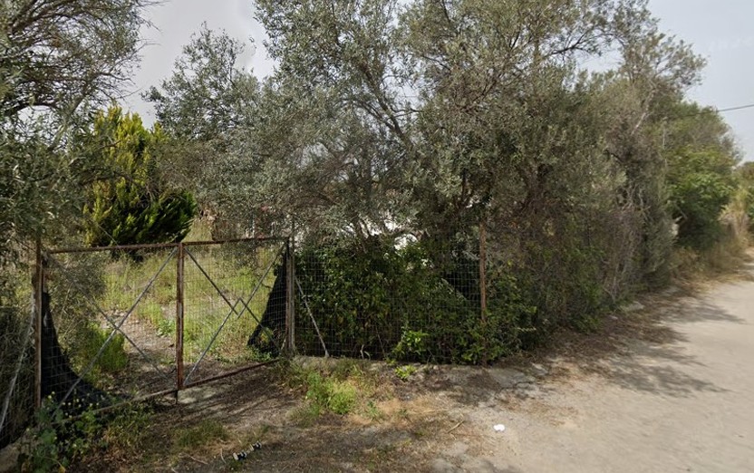 photo1