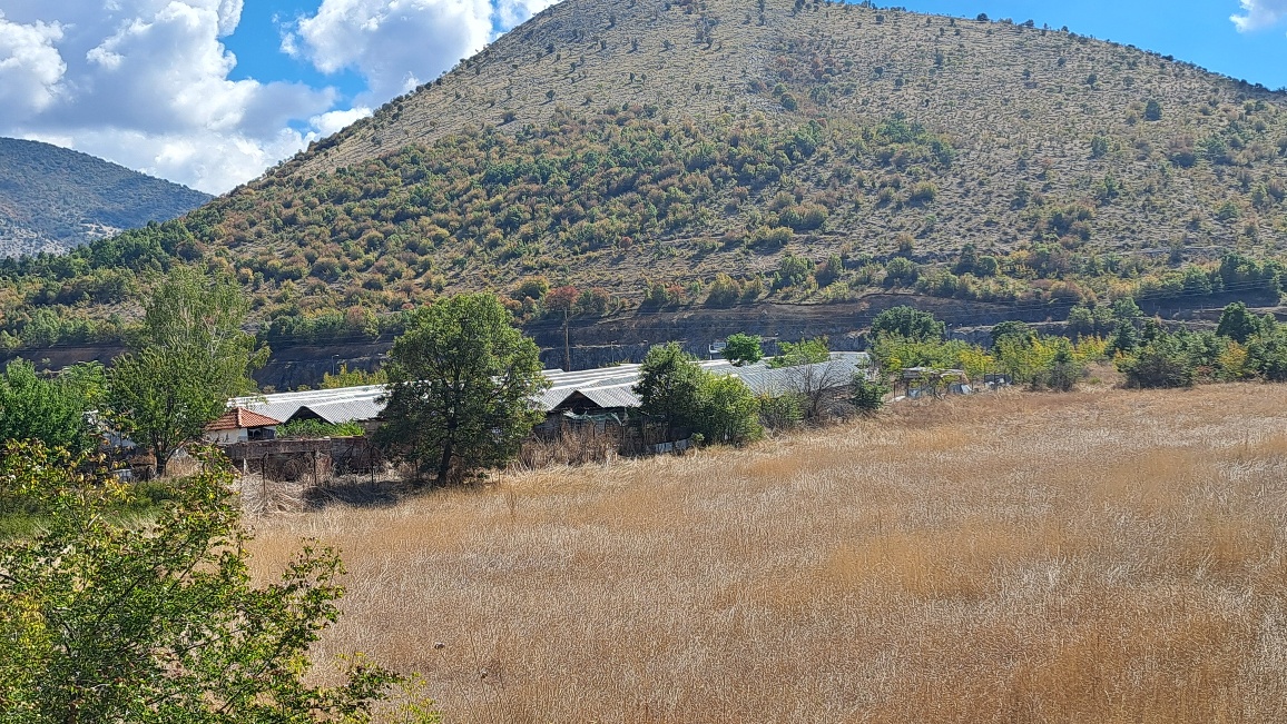 photo1