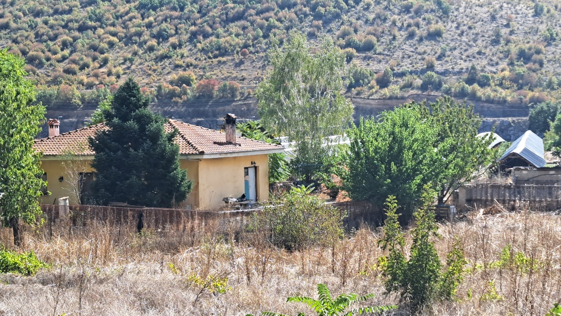photo2