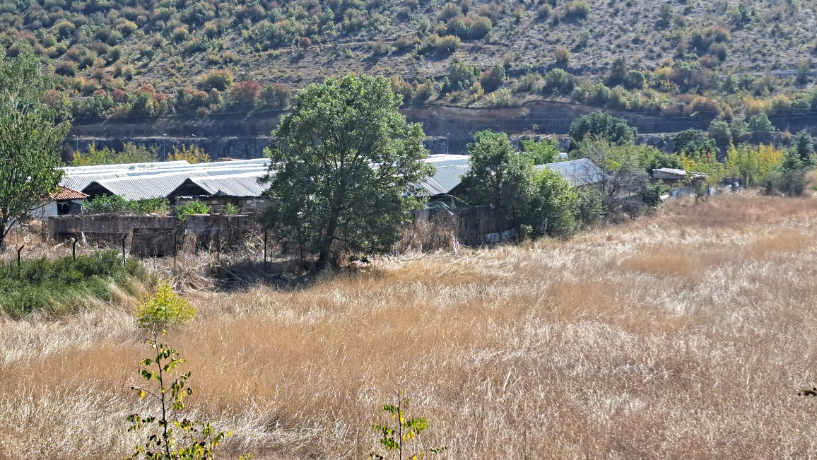 photo3
