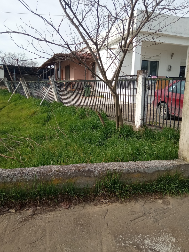 photo0