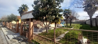 photo0