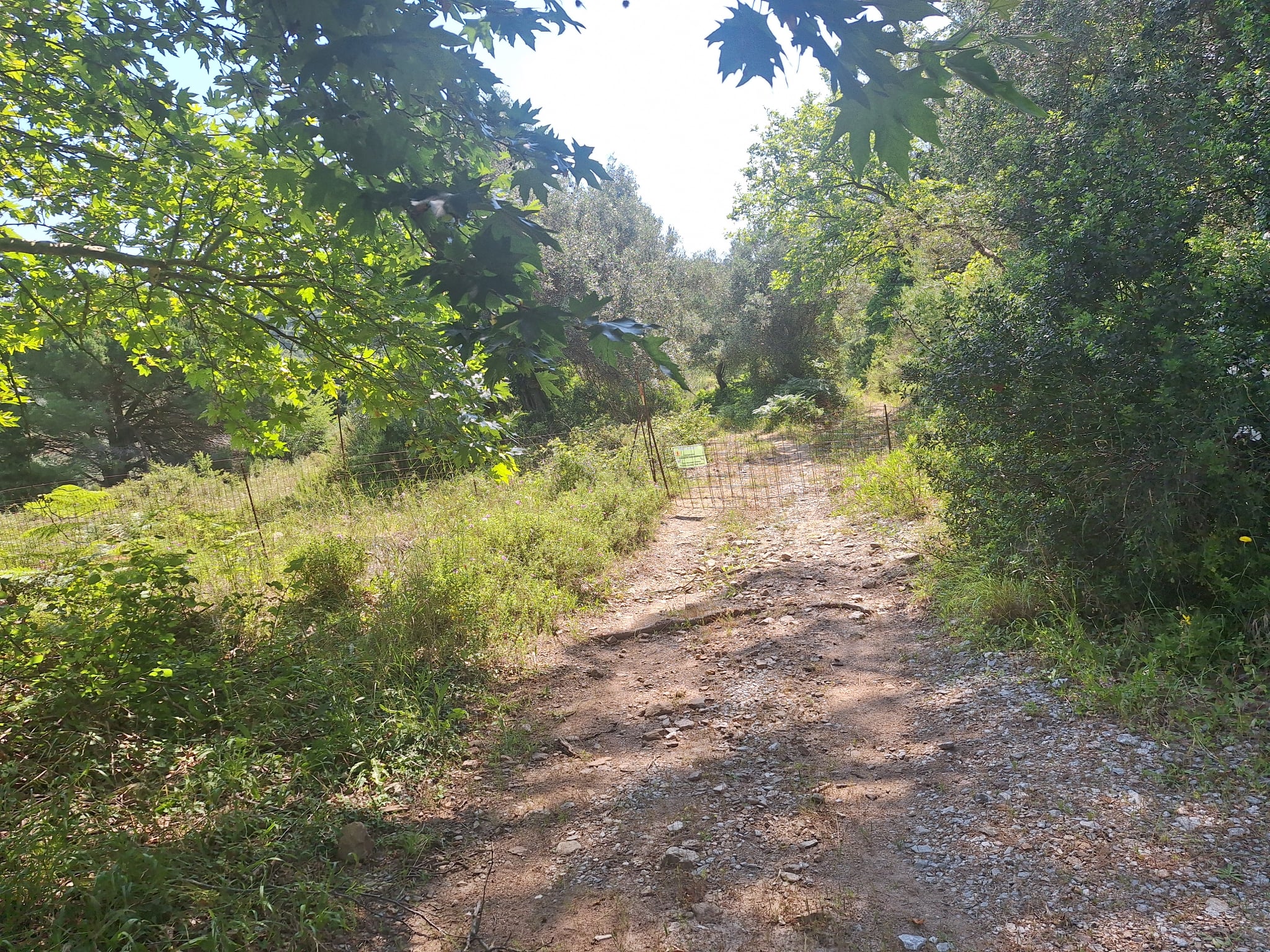 photo0