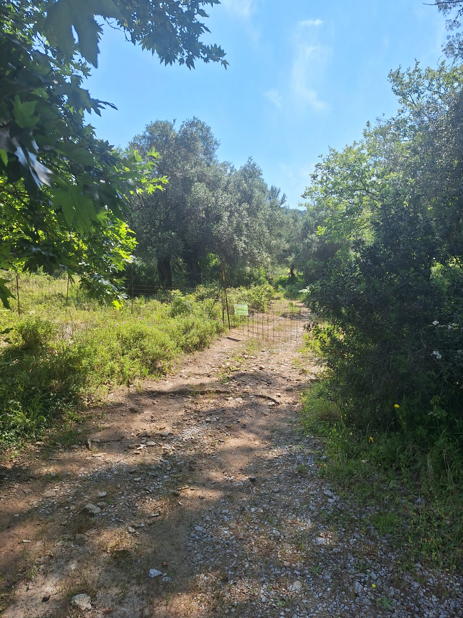 photo1