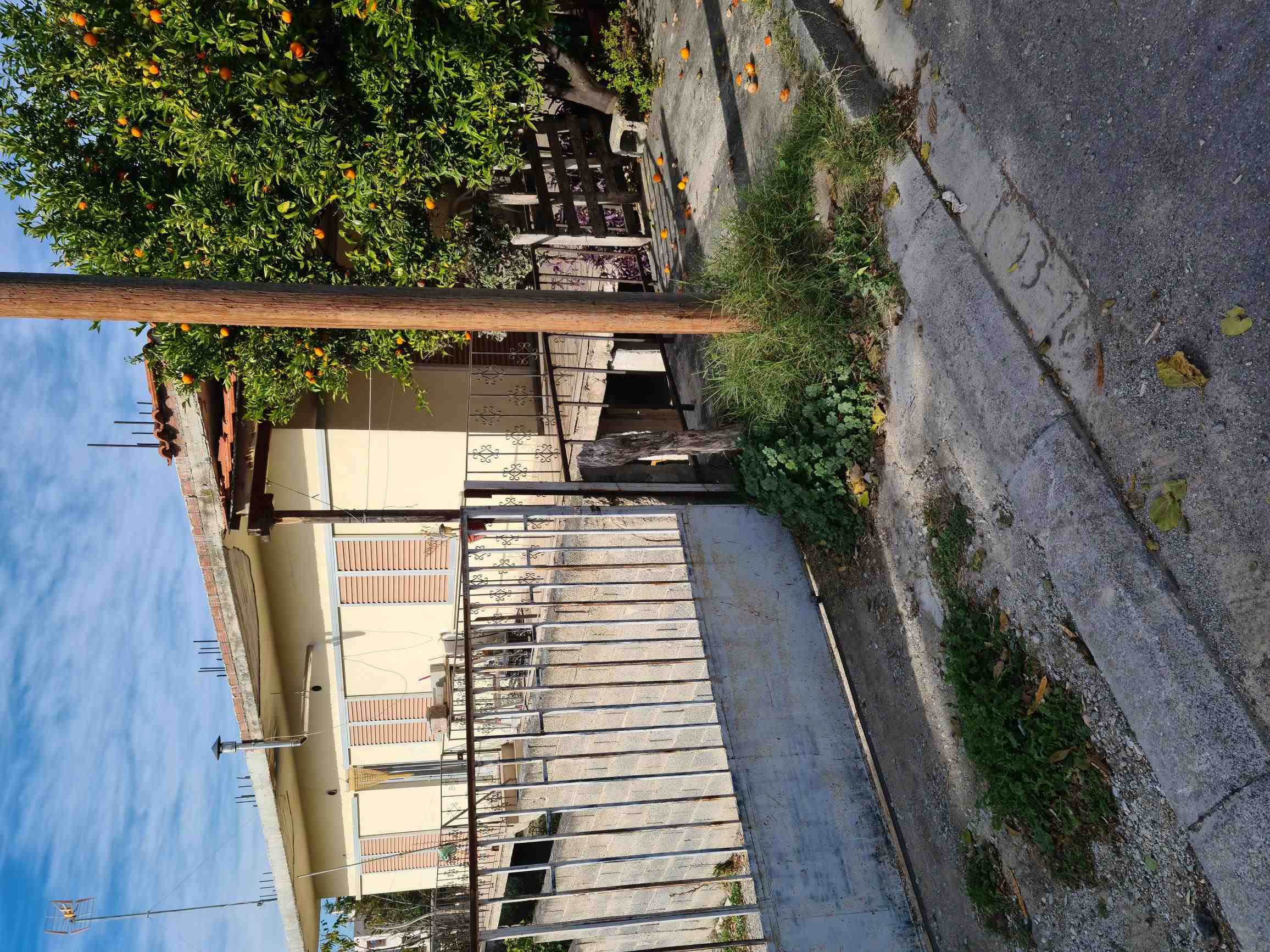 photo1