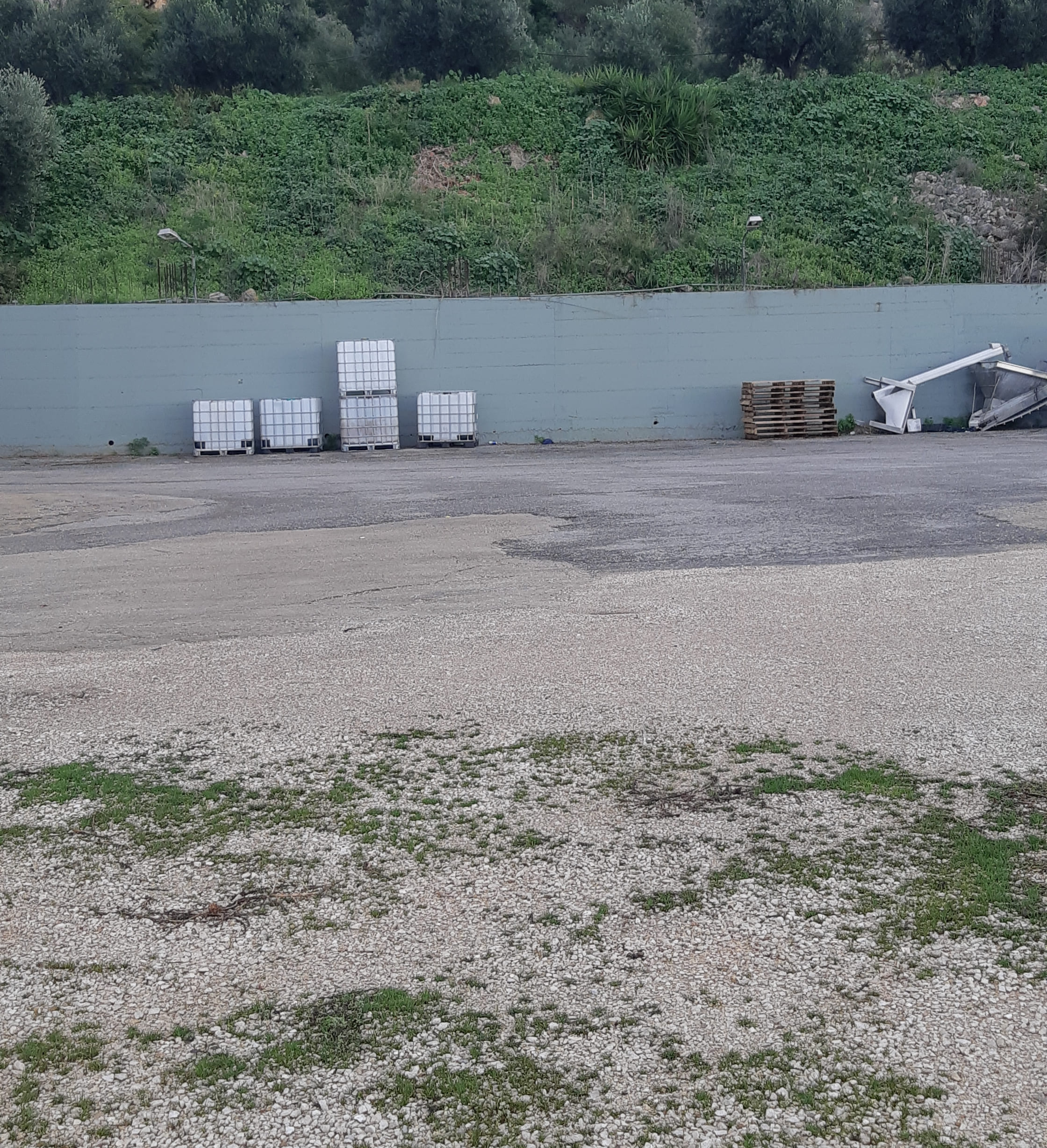 Αγροτεμάχιο  σε πλειστηριασμό Municipality of Trifylia