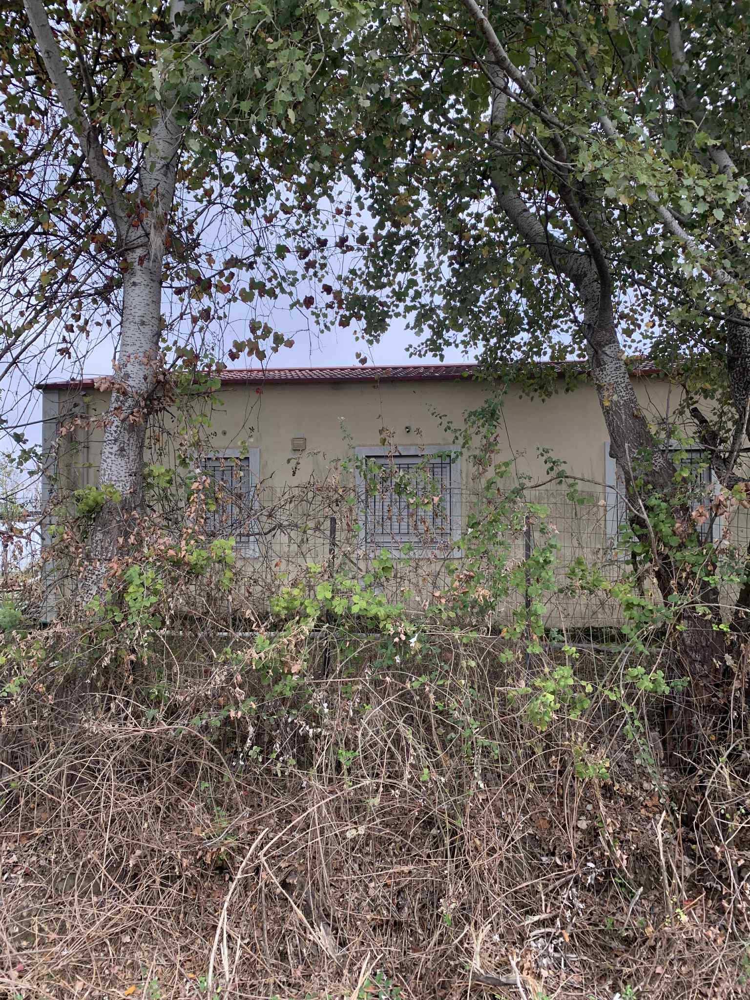 Αγροτεμάχιο με κτίσμα  σε πλειστηριασμό Δήμος Τρικκαίων