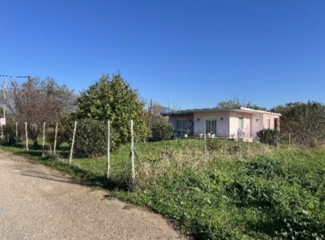 Αγροτεμάχιο με κτίσμα  σε πλειστηριασμό Δήμος Δράμας