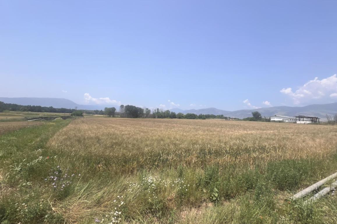 Αγροτεμάχιο  σε πλειστηριασμό Δήμος Δράμας