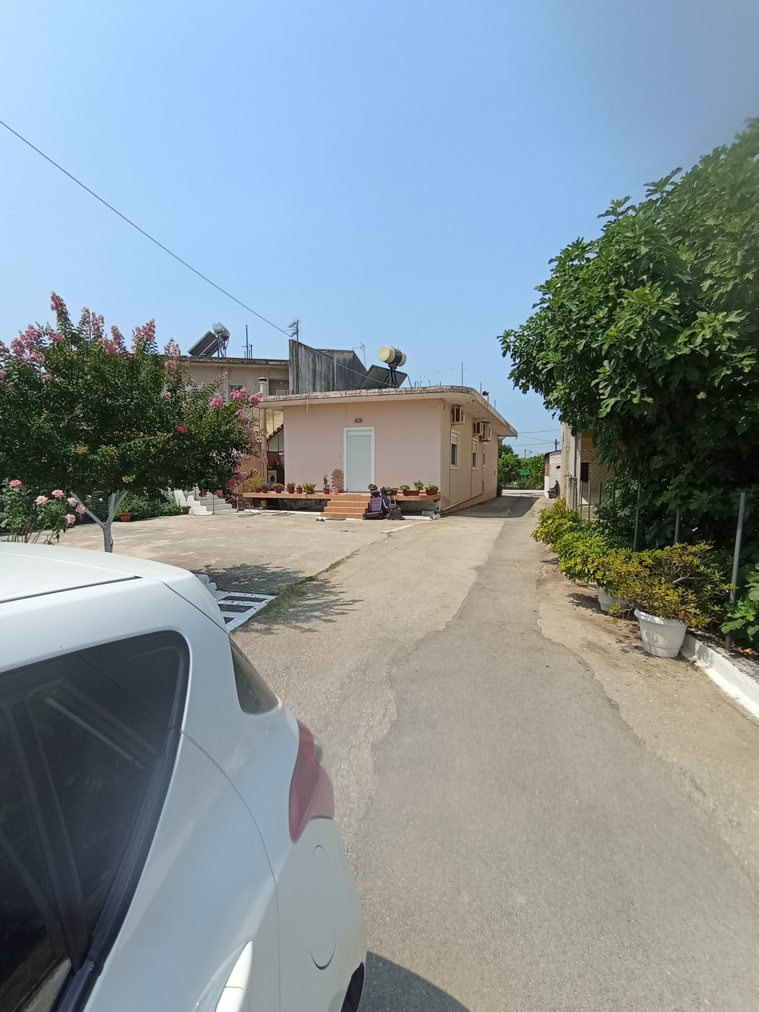 Οικόπεδο με κτίσμα  σε πλειστηριασμό Δήμος Αρταίων