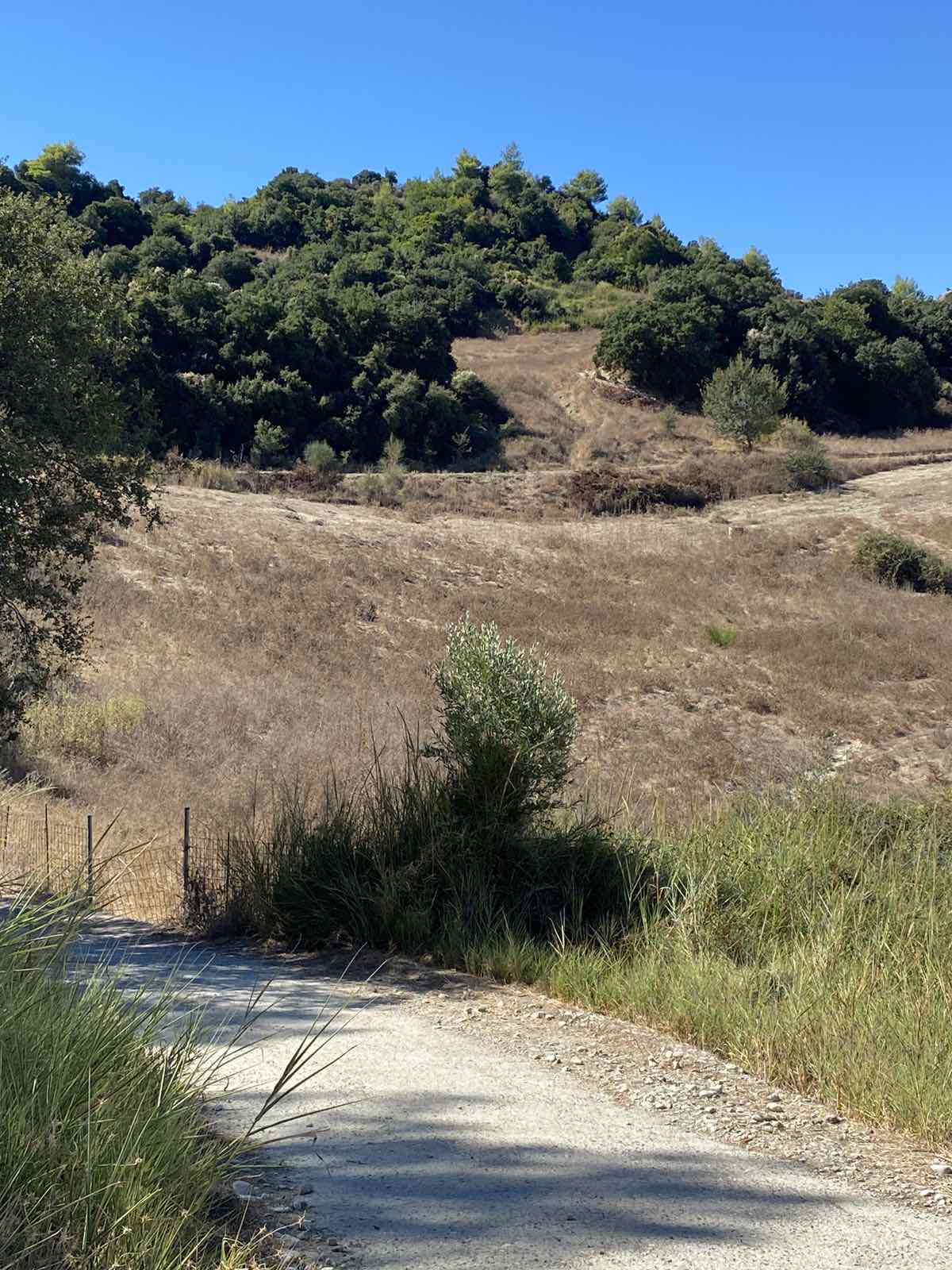 Αγροτεμάχιο  σε πλειστηριασμό Δήμος Ήλιδας