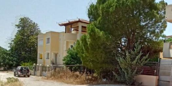 photo1