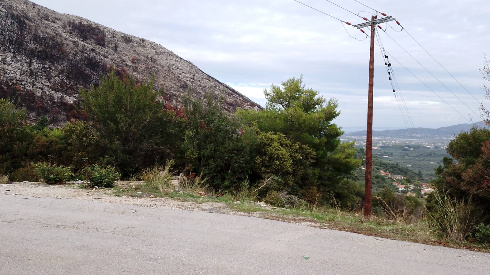 Αγροτεμάχιο  σε πλειστηριασμό Municipality of Zakynthos