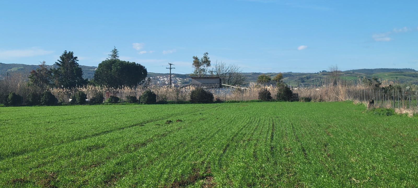 Αγροτεμάχιο με κτίσμα  σε πλειστηριασμό Δήμος Θέρμης