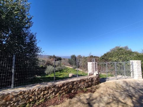 Αγροτεμάχιο  σε πλειστηριασμό Municipality of Rethymno