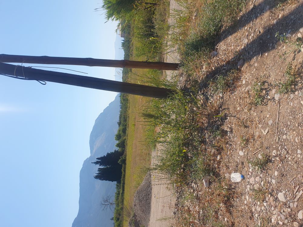 Αγροτεμάχιο  σε πλειστηριασμό Δήμος Ιεράς Πόλης Μεσολογγίου