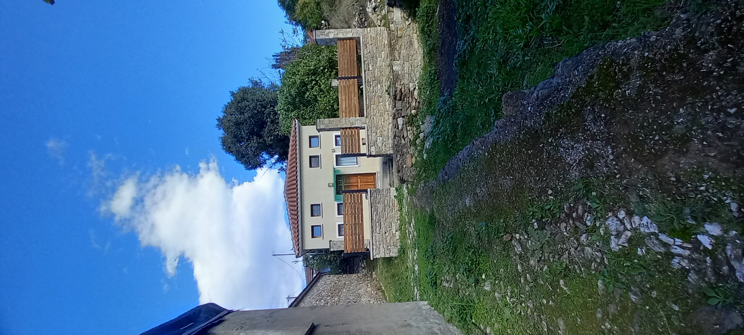 photo1