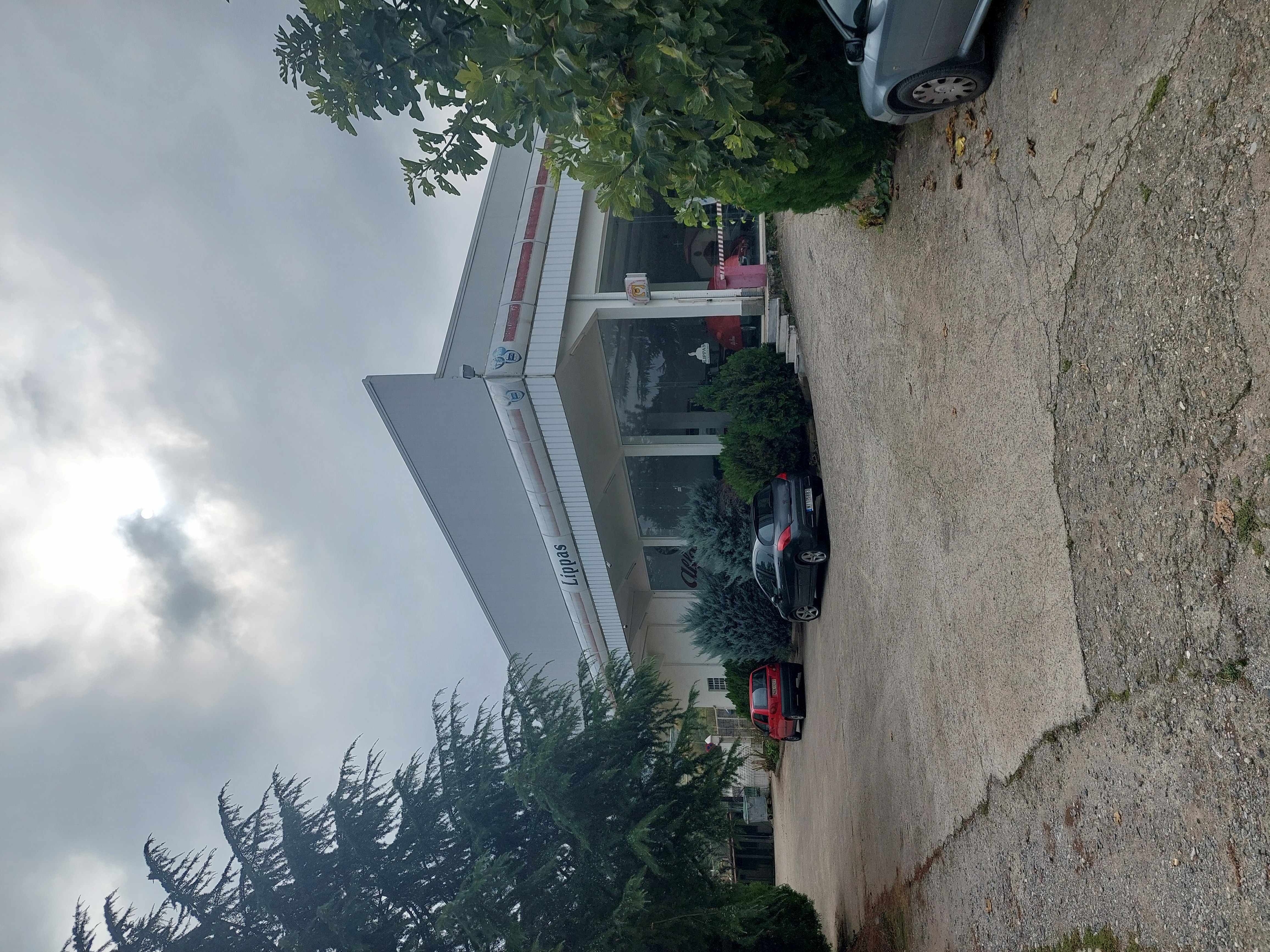 photo1