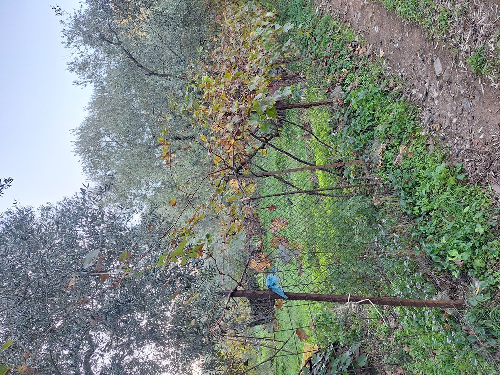 photo1