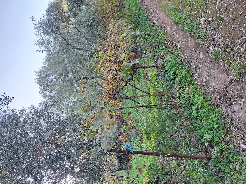 photo2