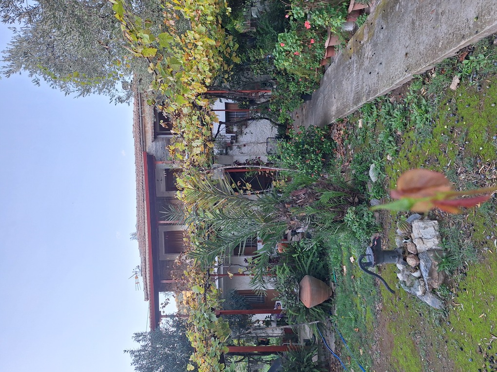 photo1