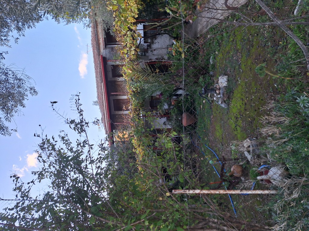 photo2