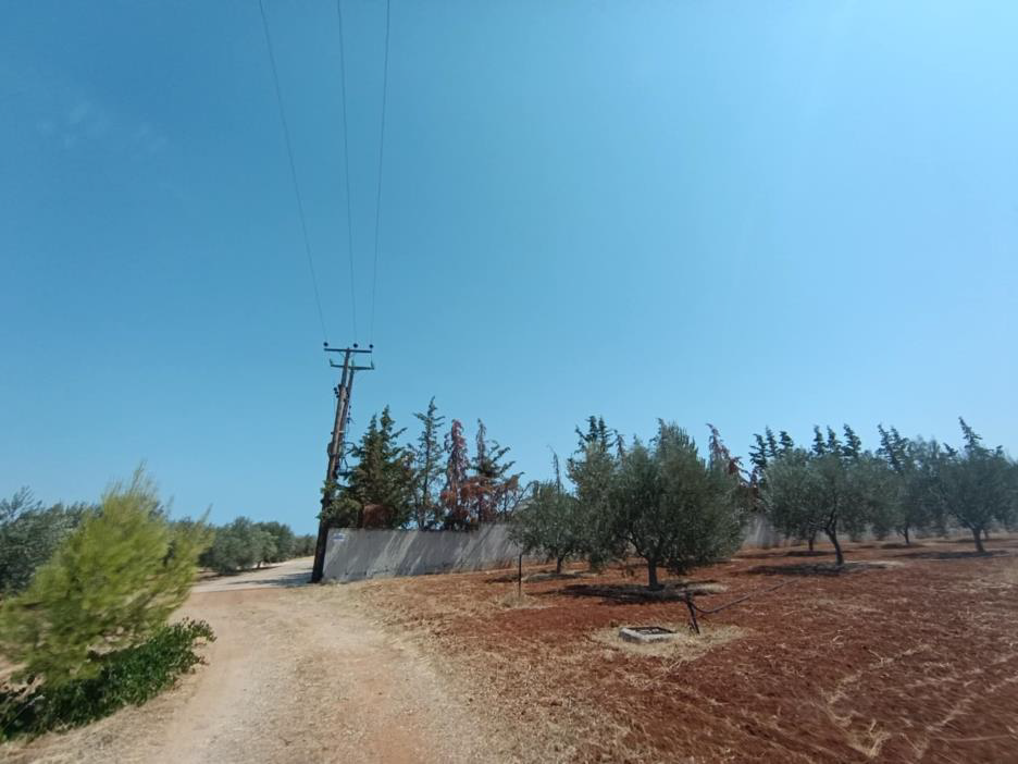photo0