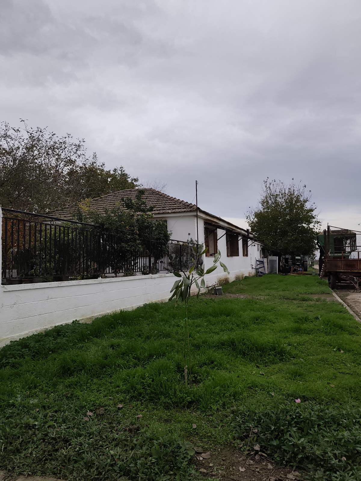 photo6