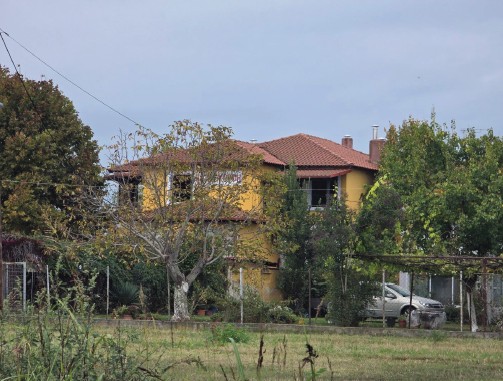 photo0